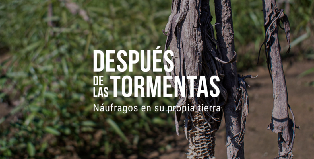 Después de las tormentas