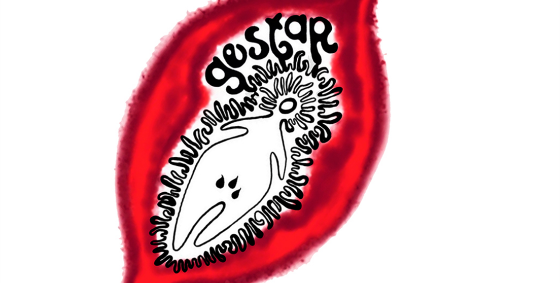 gestar colectivizando