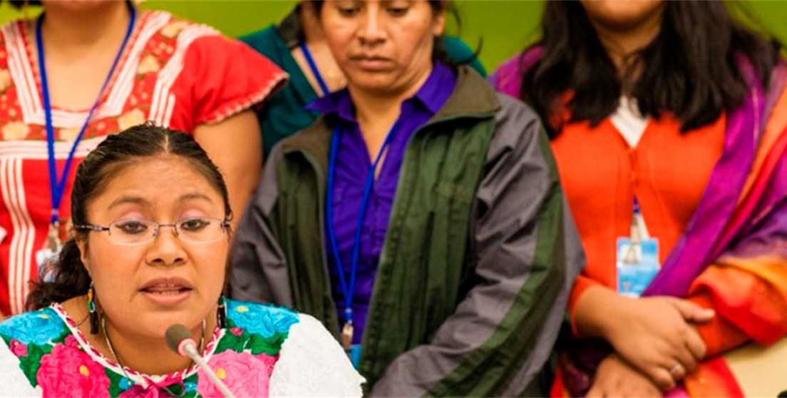 charla pueblos indígenas y covid19